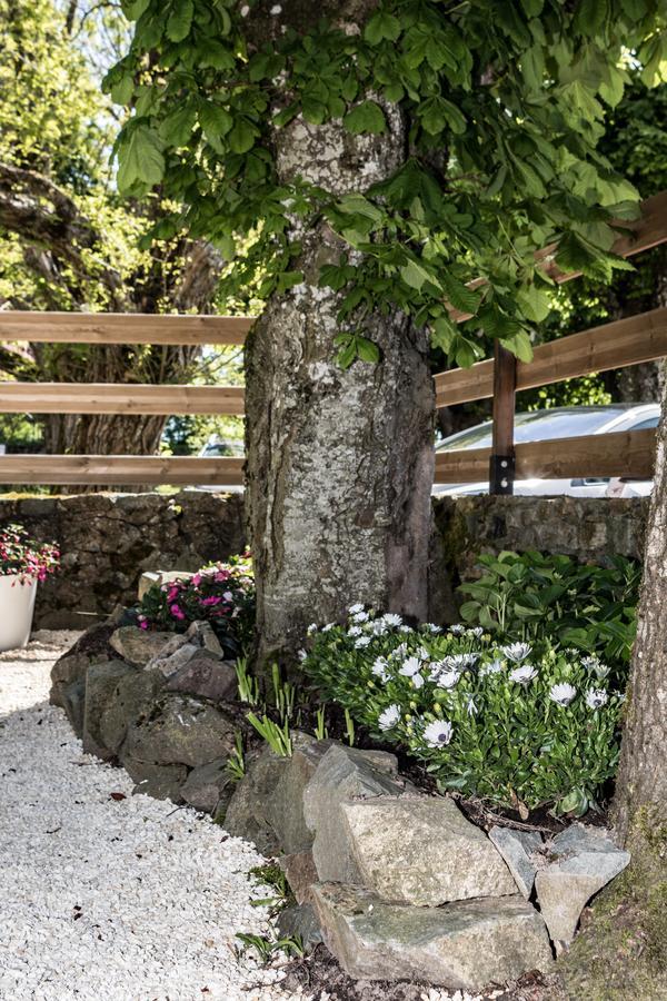 Hotel Saint Pierre Les Sauvages  외부 사진
